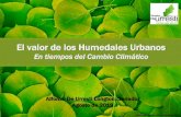 El valor de los Humedales Urbanos - CEDEUS · •Abril 2015: Primer conversatorio sobre humedales en Valdivia. Se releva la importancia de humedales, especialmente los urbanos, y