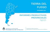 TIERRA DEL FUEGO - Honorable Senado de la Nación Argentina · 2020. 6. 26. · Tierra del Fuego Patagonia(*) Argentina Superficie (**) (en Km2) 987.168 1.896.328 3.745.997 Participación