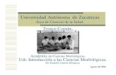 Universidad Aut³noma de Zacatecas