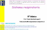Prof. Paula MedinaDroguett Paula.medina@colegiosanmarcosapostol · 2021. 2. 11. · ¿Para qué nos sirve el sistema respiratorio? Para mantenernos con vida!!!! Es VITAL, nos permite
