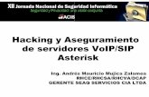 Hacking y Aseguramiento de servidorres VoIP/SIP Aste · 2015. 8. 20. · Servicios adicionales ... r servidores VoIP y para oIPPack for CANVAS: y ataques fuerza brutay ataques fuerza