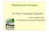 El Plan Forestal Español - PFCyL · 2019. 11. 15. · La configuración del Plan Forestal Español A.- ACCIONES SOBRE EL TERRITORIO A.2.- GESTIÓN FORESTAL SOSTENIBLE : Fomento de