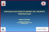 ENFOQUE MULTIDISCIPLINARIO DEL PACIENTE PANVASCULARcaci.org.ar/assets/misc/docs/andres-civitarese-presentac... · 2016. 6. 10. · RMN de Encéfalo: - Sin evidencia de lesiones isquémicas