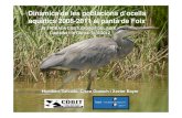 Dinàmica de les poblacions d’ocells aquàtics 2008-2011 al ...Dinàmica de les poblacions d’ocells aquàtics 2008-2011 al pantà de Foix Humbert Salvadó , Cisco Guasch i Xavier