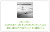 Módulo 1 CONCEPTOS FUNDAMENTALES DE MECÁNICA DE FLUIDOS 2A... · 2015. 11. 1. · 8 2. Ecuaciones generales del movimiento: Para describir las propiedades de los fluidos y las características