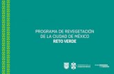 PROGRAMA DE REVEGETACIÓN DE LA CIUDAD DE MÉXICO · 2020. 7. 21. · de trabajo, definir jefes de grupos, reuniones previas de coordinación, insumos como M.O y tutores, etc.) Antes