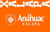XALAPA - Anahuac · 2019. 3. 1. · Negocios internacionales INGENIERÍA Y CIENCIAS EXACTAS Industrial para la dirección Petróleo y energías renovables ... irma.flores@anahuac.mx