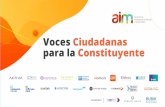 VOCES CIUDADANAS Para la Constituyente · 2021. 4. 20. · Contexto: Principales problemas para resolver en Chile VOCES CIUDADANASPARA LA CONSTITUYENTE A tu juicio ¿Cuáles son los