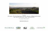 Taller Áreas Prioritarias para Aves Migratorias en la Cuenca del …horizonteverde.org.co/wp-content/uploads/2020/02/... · 2020. 2. 25. · Orinoco, el manejo de especies migratorias