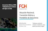 Portafolio de Soluciones Transición Hídrica y Trabajando por …...Escenarios Hídricos 2030: Trabajando por el futuro del Agua en Chile Situación Nacional, Transición Hídrica