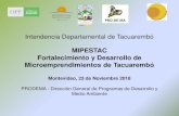 Programa Desarrollo de Proveedores de Tacuarembó PDP ...desarrolloterritorial.ei.udelar.edu.uy/wp-content/...• Plan de Desarrollo Apícola del Dpto. de Tacuarembó. • Proyecto