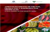 APROVECHAMIENTO DE FRUTOS, PRODUCTOS Y SUBPRODUCTOS TROPICALES · 2020. 12. 10. · Las frutas tropicales son definidas como aquellos frutos comestibles cosechados a partir de plantas