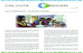 calcuta ondoanEl proyecto se está llevando a cabo entre las organizaciones Udayani Social Action Forum, Seva Kendra, (organización con una larga trayectoria en materia de energías