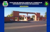 BIENVENIDA - Universidad Autónoma de Chihuahuauniq.uach.mx/documentos/1/SGC/1726dt/1864a/FCAyF... · 2015. 4. 24. · PRESENTACIÓN DE LA FCA y F FUNCIONES 4. GENERACIÓN DE PRODUCTOS.