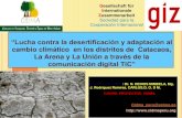 cambio climático en los distritos de Catacaos, La Arena y La ...infobosques.com/descargas/biblioteca/357.pdfparte del Bosque Seco del Noroeste Peruano. Actualmente se salinizan 160