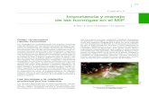 Importancia y manejo de las hormigas en el MIPMANEJO DE PLAGAS EN PALTOS Y CÍTRICOS 274 Las hormigas se asocian a los hemípteros a través de relaciones mutualistas y convergentes
