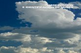 OBSERVACIÓN E IDENTIFICACIÓN DE NUBES · 3. descripciÓn de los gÉneros de nubes: nubes especiales 114 gÉneros de nubes, abreviaturas y su significado latino 115 4. ahora te toca