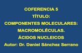 COFERENCIA 5 TÍTULO: COMPONENTES MOLECULARES: MACROMOLÉCULAS. ÁCIDOS NUCLEICOS ... · 2016. 6. 15. · Los ADN conservan y transmiten la información genética. Los ARN intervienen