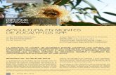 APICULTURA EN MONTES DE EUCALYPTUS SPP. · 2020. 10. 3. · ma, la apicultura en montes de Eucalyptus spp. permite extender la temporada y aumentar la producción de miel. El departamento
