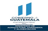 PLAN OPERATIVO ANUAL 2021 REPROGRAMACIÓN · 2021. 4. 21. · Guatemala 2032, Objetivos de Desarrollo Sostenible, las Prioridades y Metas Estratégicas de Desarrollo, Política General