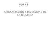 TEMA 5 ORGANIZACIÓN Y DIVERSIDAD DE LA BIOSFERAinstitutolaestrella.org/wp-content/uploads/2018/08/ORGAN... · 2021. 6. 10. · hábitats y nichos ecológicos presentes en la biosfera.