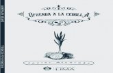 OFRENDA A LA CEBOLLA - Descubre Lima...Juegos Florales Belice y Panamá, León Nicaragua, Premio Centroamericano de Literatura Rogelio Sinán (2011), Premio Internacional de Poesía