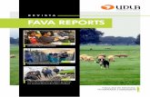 REVISTA FAVA REPORTS · 2020. 11. 11. · « Charla sobre el uso de animales en investigaciones de salud » « Alumnos de la Sede Concepción asisten a taller de ecografía en pequeños