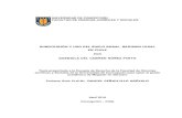 UNIVERSIDAD DE CONCEPCIÓN FACULTAD DE CIENCIAS …repositorio.udec.cl/bitstream/11594/947/1/Tesis... · 2020. 12. 10. · Ordenanza General de Urbanismo y Construcciones p., pp.