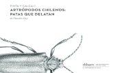 PINTA Y CALCA II ARTRÓPODOS CHILENOS: PATAS QUE DELATAN · 2021. 5. 10. · Para celebrar el Día del Niño este año nuestra institución ha ... Te invito a calcarlos, colorearlos
