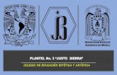 COLEGIO DE EDUCACIÓN ESTÉTICA Y ARTÍSTICAenp3.unam.mx/estetica/presentacion_eeya2021.pdf · 2021. 8. 3. · EDUCACIÓN ESTÉTICA Y ARTÍSTICA EN EL PLANTEL No 3 “JUSTO SIERRA