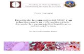 Estudio de la expresión del VEGF y su relación con la proliferación celular … · 2020. 5. 6. · Estudio de la expresión del VEGF y su relación con la proliferación celular…