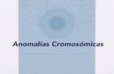 Anomalías Cromosómicas · • Las mutaciones o aberraciones cromosómicas son alteraciones en el número o en la estructura de los cromosomas. Se deben a errores durante la formación