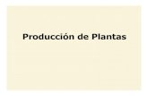 Producción de Plantas · 2014. 11. 20. · veredas, ramblas, parques, canchas de golf, bosques periurbanos. Curso de Silvicultura Producción de Plantas. Calidad de la planta producida