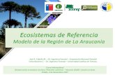 Ecosistemas de Referencia - INFOR · 2017. 11. 6. · Ecosistemas de Referencia Modelo de la Región de La Araucanía José A. Cabello M. – Dr. IngenieroForestal – Corporación