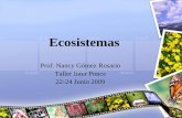Ecosistemas - sdae4ef88a8d358f4.jimcontent.com€¦ · •Los ecosistemas tienen la capacidad de: –Autorregulación –Autoconservarción •El ecosistema tiende a conservar su