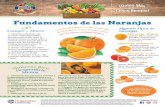 Fundamentos de las Naranjas - Food Hero · 2 cucharaditas de jugo de limón verde (aproximadamente ½ limón verde) ¼ cucharadita de sal Preparación: 1. Lávese las manos con jabón