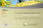 Presentación de PowerPoint · 2019. 7. 3. · 04 Reporte Agroindustrial | Estadísticas y márgenes de cultivos tucumanos EEAOC | Nº 165 | Junio 2019 | ISSN 2346-9102 En 2018, los