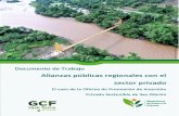Alianzas públicas regionales con el sector privado - MDA – Mecanismos de … · 2018. 11. 27. · Regional de Presupuesto, Planificación y Acondicionamiento Territorial ... amazónicos