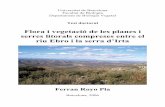 Flora i vegetació de les planes i serres litorals compreses entre el …diposit.ub.edu/dspace/bitstream/2445/36104/3/03.FRP_PART... · 2019. 9. 13. · riu Ebro i la serra d’Irta