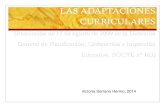 LAS ADAPTACIONES CURRICULARES - jcyl.es · LAS ADAPTACIONES CURRICULARES (Resolución de 17 de agosto de 2009 de la Dirección General de Planificación, Ordenación e Inspección