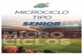 MICROCICLO TIPO SENIOR - ALONBALON · 2020. 10. 23. · TAREA 1 PARTE PRINCIPAL Circuito físico Todos los jugadores + 2 porteros situados para realizar un trabajo a través de un