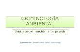 CRIMINOLOGÍA AMBIENTAL · 2019. 10. 28. · La Criminología Ambiental es la rama de la Criminología que se ocupa principalmente de la prevención criminal, teniendo como objeto
