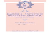 BIMESTRE 5 – Proyecto de producción industrial · 2015. 6. 26. · BIMESTRE 5 – Proyecto de producción industrial 5.1 CARACTERISTICAS DEL PROYECTO DE PRODUCCION INDUSTRIAL.