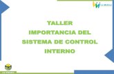Municipalidad Distrital de La Molina - TALLER ......enfoque sistémico y regular. Esto permitirá que se cumplan las responsabilidades individuales y grupales. 4.1 Funciones y características