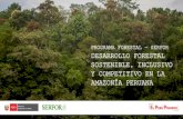 PROGRAMA FORESTAL - SERFOR DESARROLLO ...repositorio.serfor.gob.pe/bitstream/SERFOR/789/3/04...ecológica, mantener resiliencia, conservar diversidad y restablecer funcionalidad. Restauración