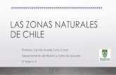 LAS ZONAS NATURALES DE CHILE°-A... · 2020. 5. 20. · Los componentes de las zonas naturales Hidrografía: Las aguas superficiales son un conjunto de agua que se extienden sobre