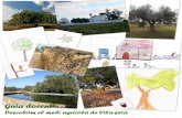 de l’escola Sant Bernat Calvó de Vila · 2011. 6. 18. · 9 Recomanacions per a l’observació de la fauna i la flora Abans de començar el nostre camí has de tenir en compte