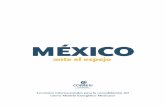 MÉXICO - consejomexicano.org · También contamos con la participación de Embajadas, organismos internacionales, y centros de investigación dedicados al estudio de la vida política,