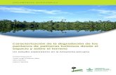 Caracterización de la degradación de los pantanos de ... · muchas especies. Los pantanos de palmeras (PP) son el principal tipo de ecosistema de turberas en la cuenca amazónica