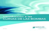 Introducción a las CURVAS DE LAS BOMBAS · 2018. 7. 5. · Los fabricantes de bombas describen sus bombas en función de la tasa de flujo a la eficiencia máxima. En el ejemplo 4,